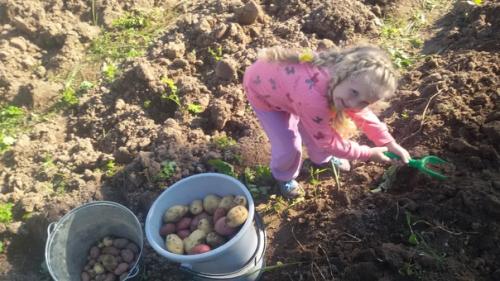 Деревня. Часть 8. 02 Деревня. Часть 8. 02