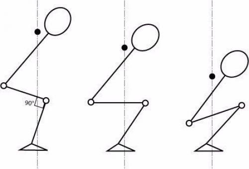 Анатомия приседаний?  Мы начнем с работы мышц. 05