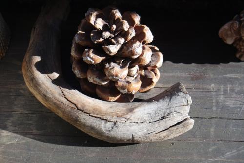 Время бесплатного фитнеса началось. 08