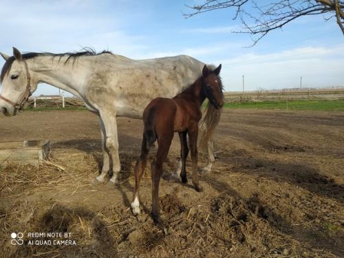 Шутки бывают разные, но сюрпризы всегда неожиданные. 1. 01 Шутки бывают разные, но сюрпризы всегда неожиданные. 1. 01