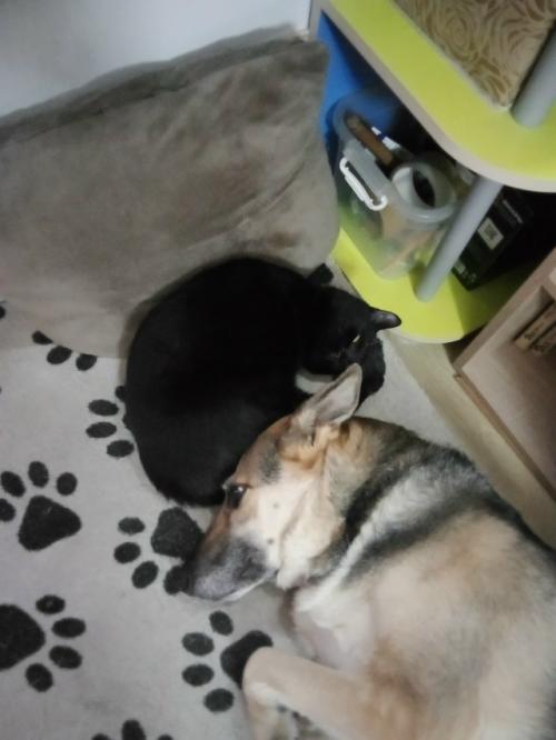 Решила устроить себе входной от фитнеса. 02