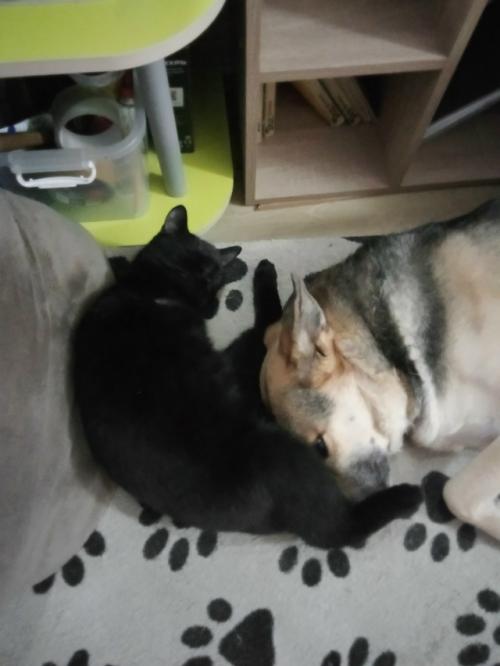 Решила устроить себе входной от фитнеса. 04