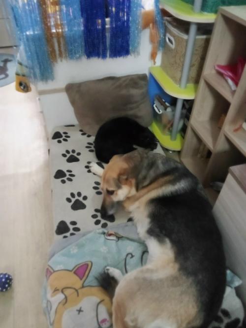 Решила устроить себе входной от фитнеса. 01