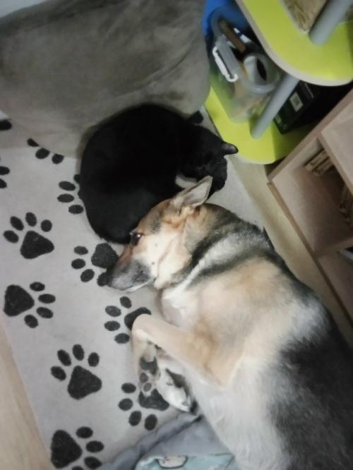 Решила устроить себе входной от фитнеса. 03