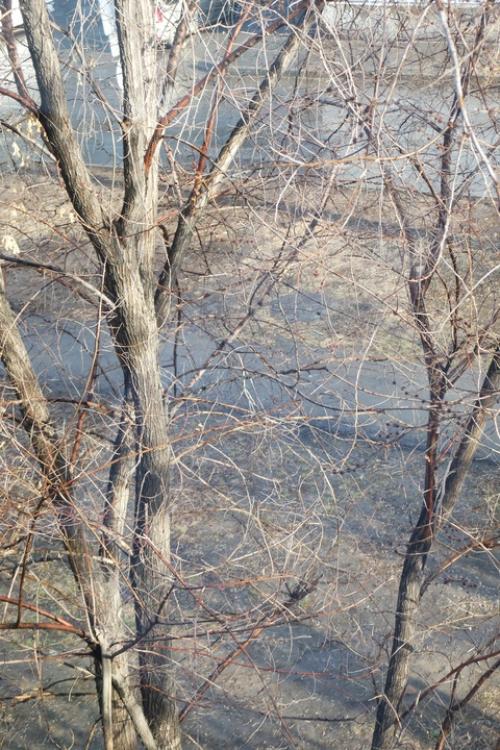 Время бесплатного фитнеса началось. 02