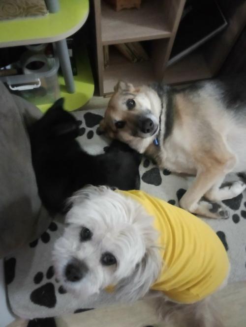 Решила устроить себе входной от фитнеса. 06