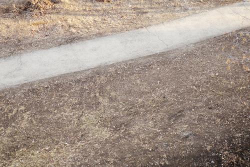 Время бесплатного фитнеса началось. 04