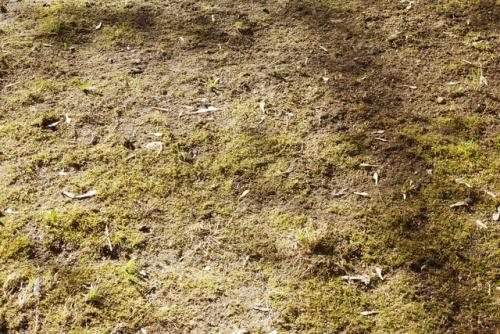 Время бесплатного фитнеса началось. 01