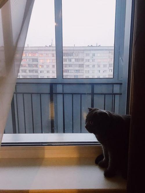 Ребята, привет!  Я в поисках хороших людей для своей хорошей 1-комнатной, но вместительной квартиры. 03