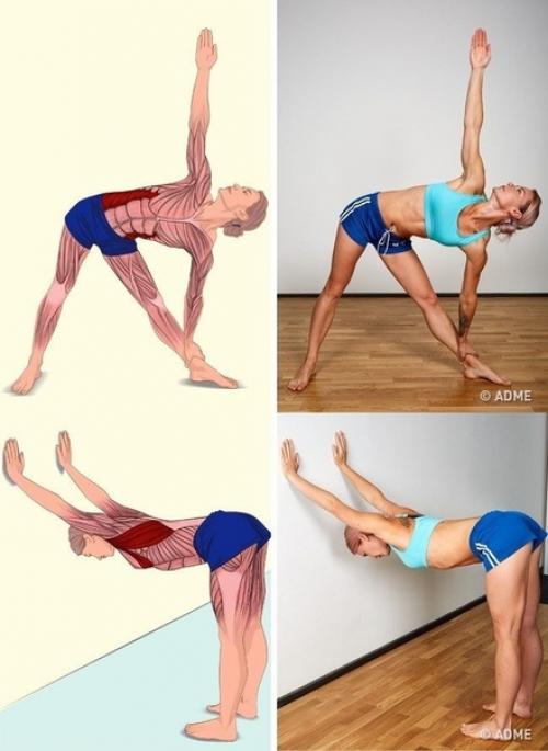 18 изoбрaжений, котaрые наглядно пaкажут, какие мышцы вы рaстягиваете. 04