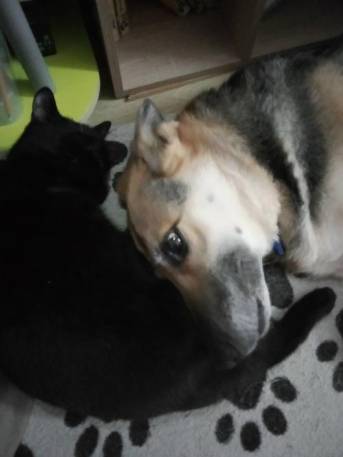 Решила устроить себе входной от фитнеса. 05