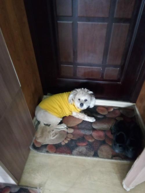 Решила устроить себе входной от фитнеса.  