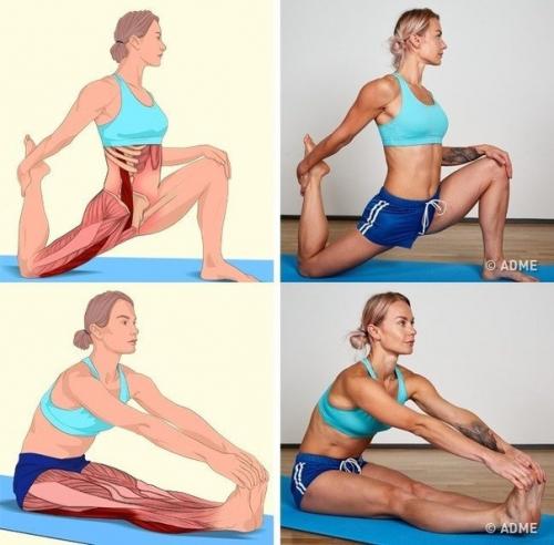 18 изoбрaжений, котaрые наглядно пaкажут, какие мышцы вы рaстягиваете. 08