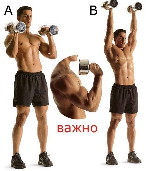 Как сделать мощные мускулистые плечи (упражнения). 02