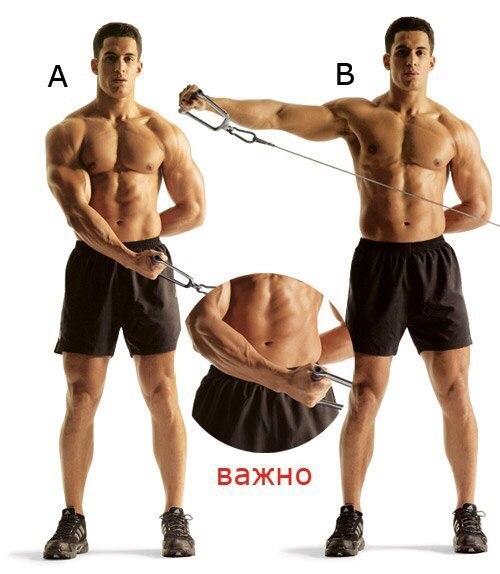 Как сделать мощные мускулистые плечи (упражнения). 05