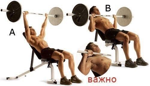 Как сделать мощные мускулистые плечи (упражнения). 03