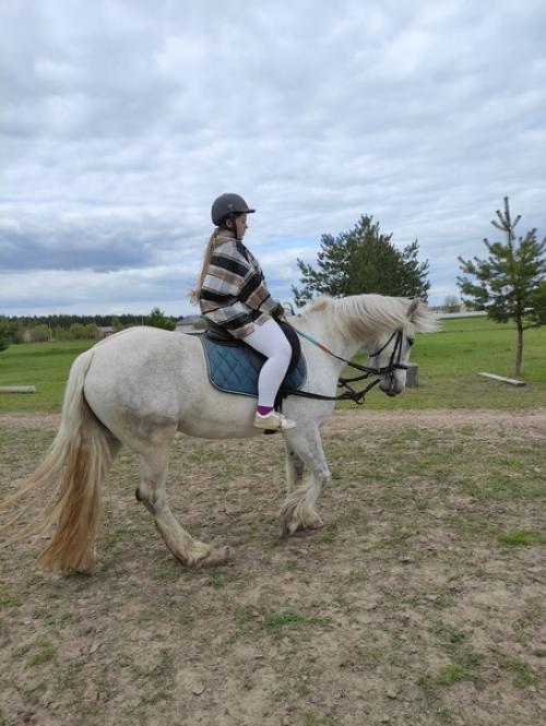 Езда верхом способна заменить полноценные занятия в тренажерном зале - это отличная кардионагрузка и силовая тренировка в комплексе. 01