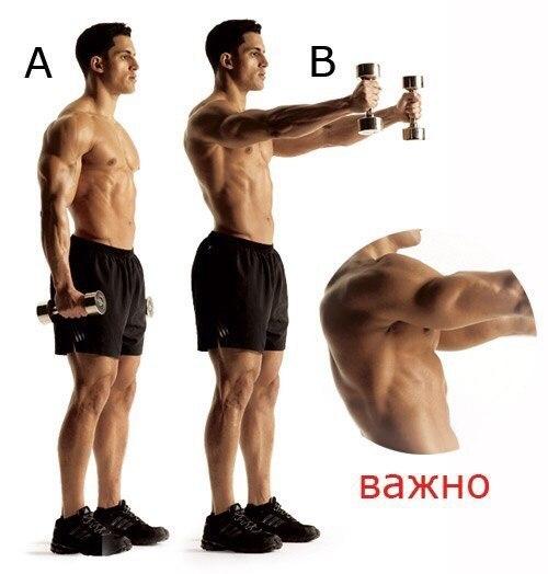 Как сделать мощные мускулистые плечи (упражнения). 07