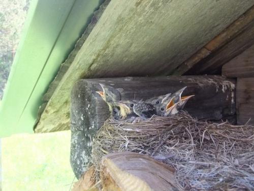 Мои родители классные ребята. 04 Мои родители классные ребята. 04