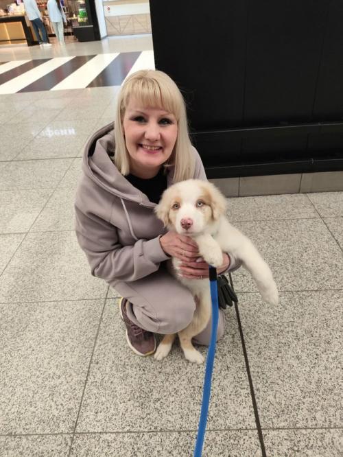 amk_путь_к_собаке. 01 amk_путь_к_собаке. 01