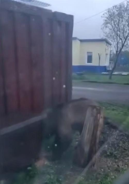 Эпизод 177.  Незваный гость. 01