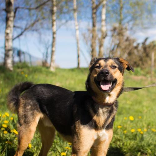 СПб!  Зима - время лениться и толстеть - прошла! 02 СПб!  Зима - время лениться и толстеть - прошла! 02
