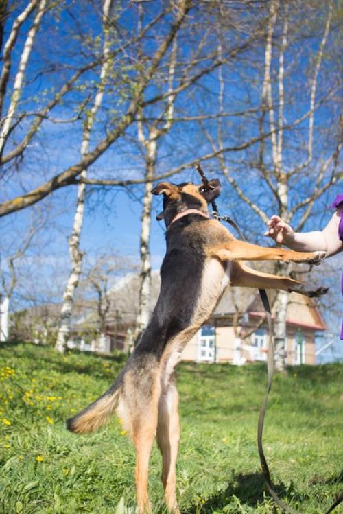 СПб!  Зима - время лениться и толстеть - прошла! 01 СПб!  Зима - время лениться и толстеть - прошла! 01