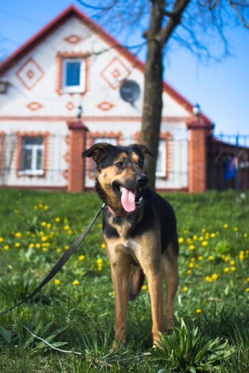 СПб!  Зима - время лениться и толстеть - прошла! 03 СПб!  Зима - время лениться и толстеть - прошла! 03