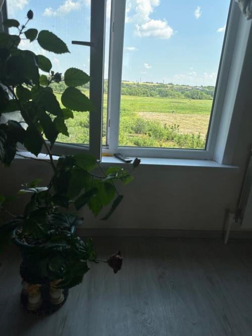 Мы в деревне с дочей и я не могу пока ходить на свою секцию по йогалатесу. 06