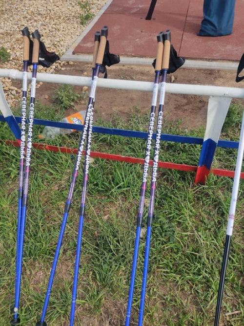 В республике вновь стартовал проект добровольного физкультурного союза России северная ходьба - новый образ жизни! 01