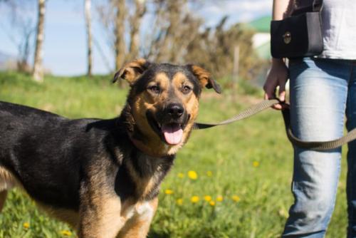 СПб!  Зима - время лениться и толстеть - прошла! 04 СПб!  Зима - время лениться и толстеть - прошла! 04