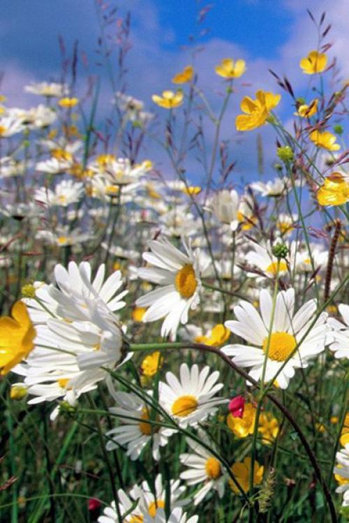 Доброе утро. Я настрой себе нашла, чтобы быть везучей: 05