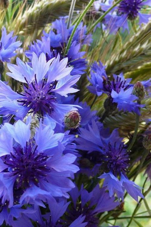 Доброе утро. Я настрой себе нашла, чтобы быть везучей: 03