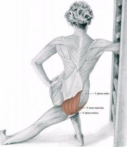 Растяжка мышц до и после тренировки. 04 Растяжка мышц до и после тренировки. 04