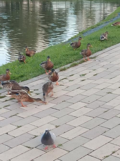 Москва.  Как много в этом слове! 03