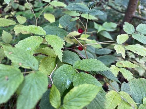 Спорт в жаркие дни. 01