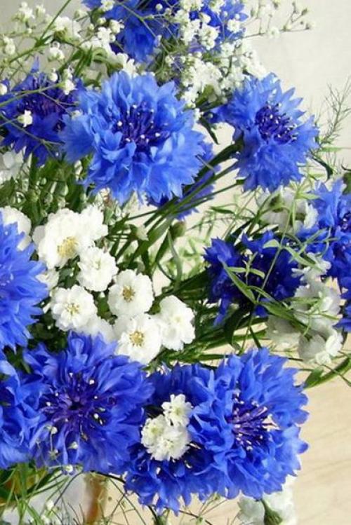 Доброе утро. Я настрой себе нашла, чтобы быть везучей: 01