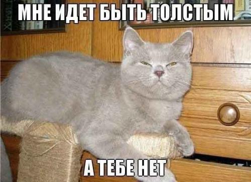 Внимание!  Мы начинаем скоро! 01 Внимание!  Мы начинаем скоро! 01