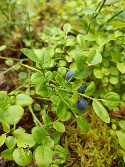 Где брать ресурс? 03