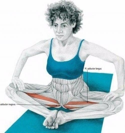 Растяжка мышц до и после тренировки. 07 Растяжка мышц до и после тренировки. 07