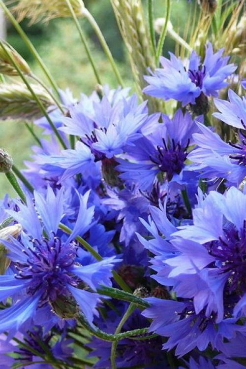 Доброе утро. Я настрой себе нашла, чтобы быть везучей: 02