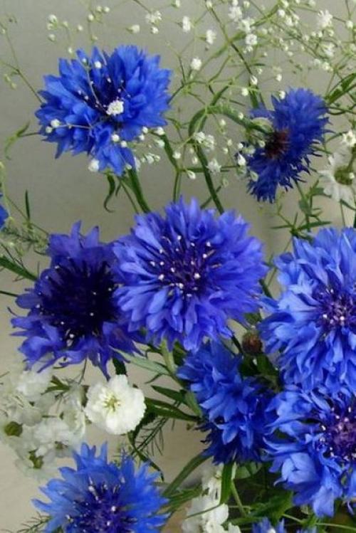 Доброе утро. Я настрой себе нашла, чтобы быть везучей: 04