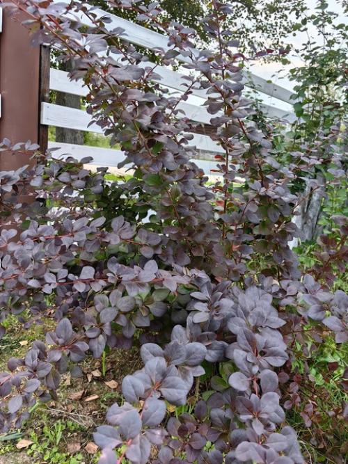 Я работаю с 9 до 17. 03 Я работаю с 9 до 17. 03