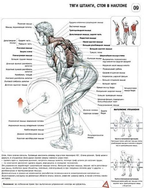 Упражнения для широкой и сильной спины. 03