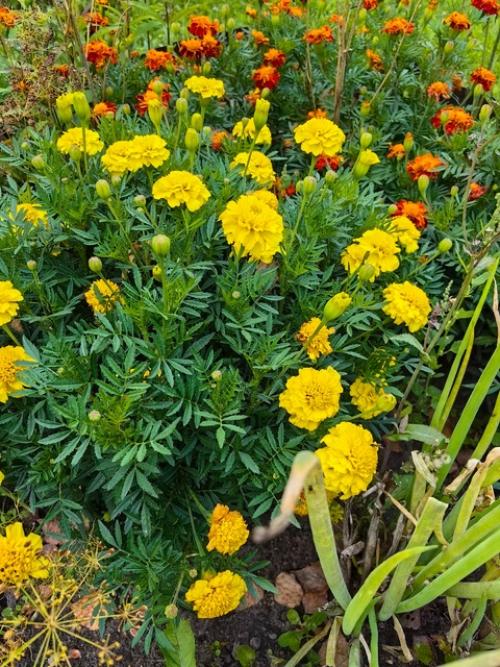 Я работаю с 9 до 17. 05 Я работаю с 9 до 17. 05