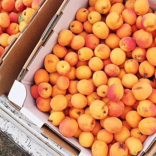 15 простых правил на каждый день и твоя фигура в норме. 01