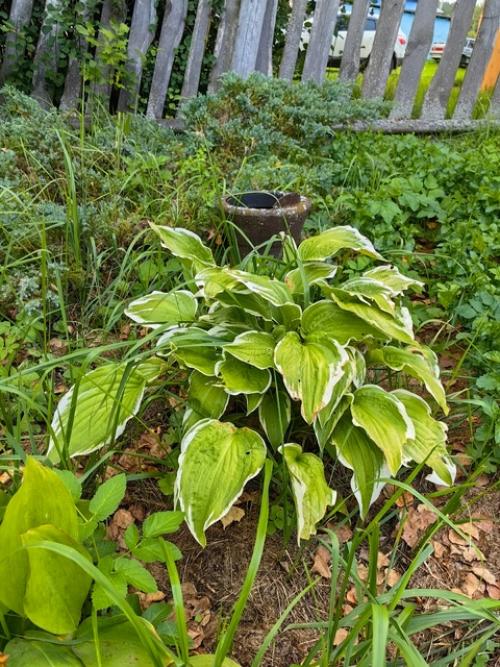 Я работаю с 9 до 17. 02 Я работаю с 9 до 17. 02