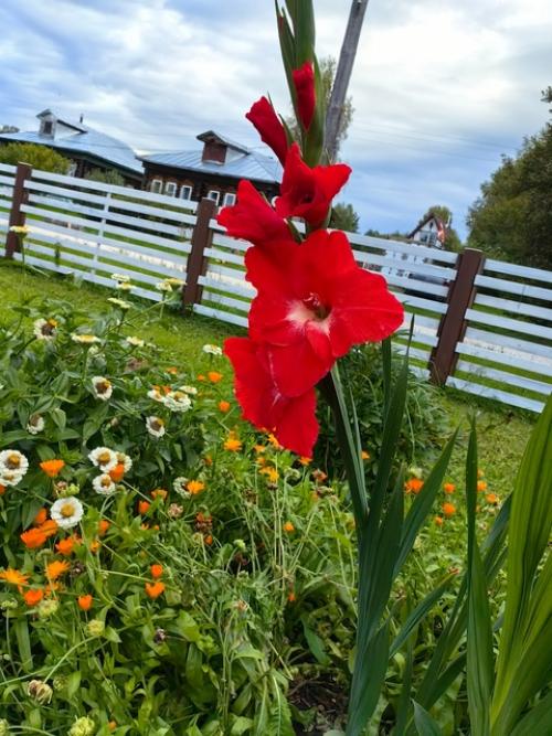 Я работаю с 9 до 17. 01 Я работаю с 9 до 17. 01