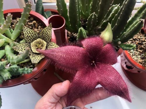 Увлеченные_педагоги@Kalin_spb. 01