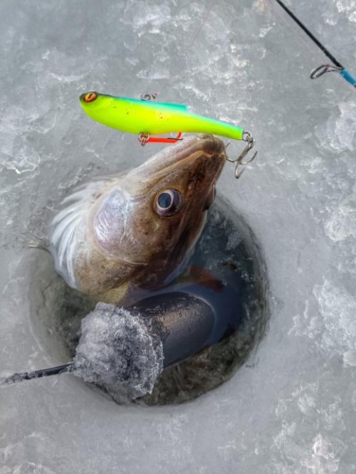 Вчера с тестем отправился на утреннюю фитнес тренировку с буром вместо штанги! 04 Вчера с тестем отправился на утреннюю фитнес тренировку с буром вместо штанги! 04